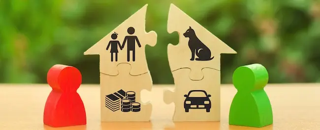 Separated puzzle pieces showing a couple, house, money, car, and pet, illustrating retirement account division and marital asset allocation.